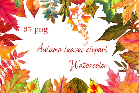 Autumn Leaves Clipart Set: Warmth and Seasonal Charm for Local Branding