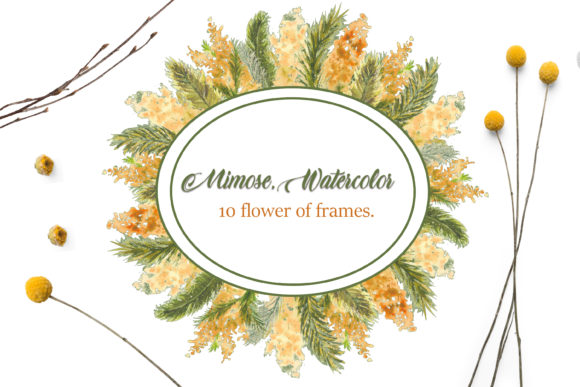 Elegant Frames with Mimosa Branches for Craft & Illustrations