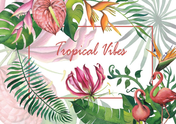 Exotic Flowers and Tropical Vibes Illustrations for Creative Sellers