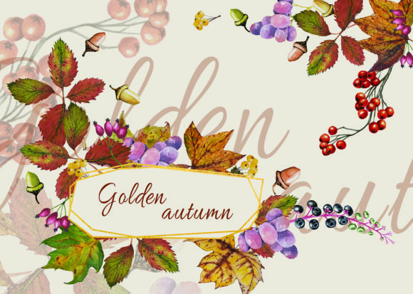 Golden Autumn Illustrations: A Designer’s Review for Local Branding and Packaging