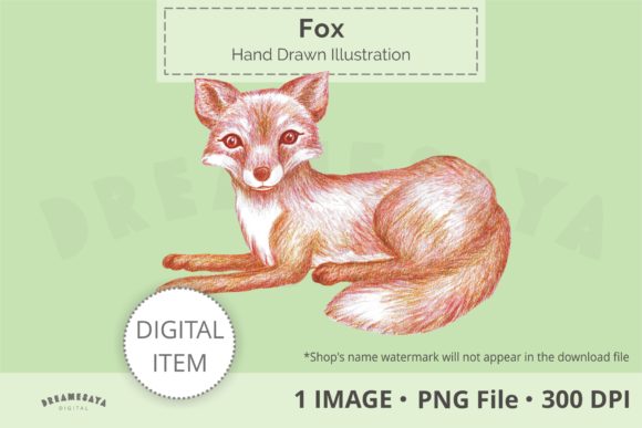 Hand Drawn Fox Png Clip Art for Illustrations & Digital Product Sellers