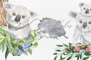 Koala Illustrations for Branding and Marketing Visuals
