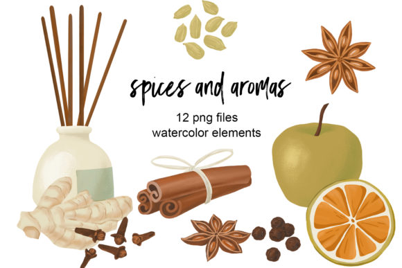 Spices and Aromas Clipart: A Designer’s Review for Branding and Visual Projects